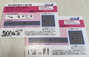 ANA 株主優待券2枚　 送料無料　【有効期間2025年5月31日迄】