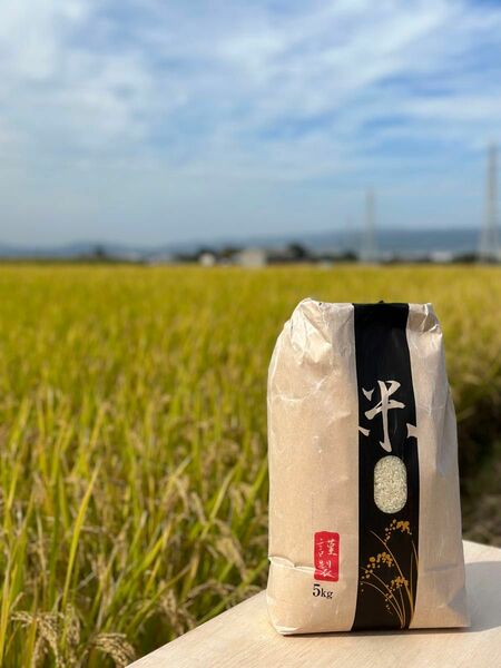 赤字覚悟 奈良県産 ヒノヒカリ 天日干し 玄米 10kg