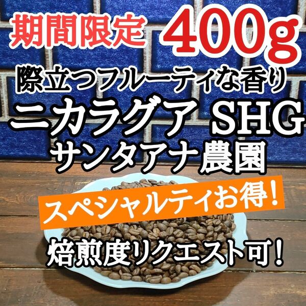 自家焙煎 コーヒー豆 注文後焙煎 ニカラグア SHG 400g