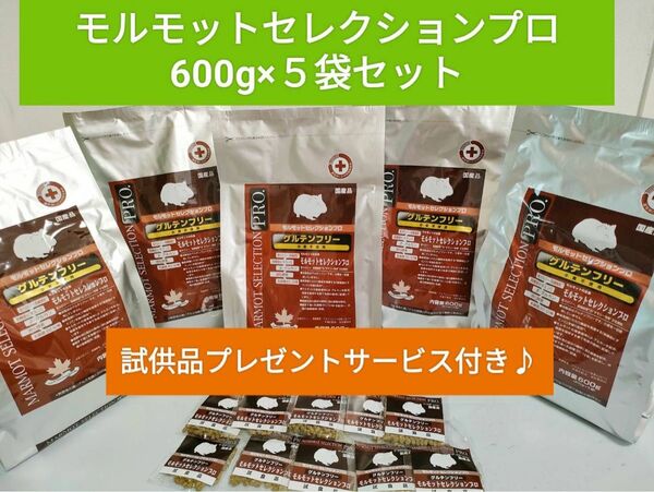 モルモットセレクションプログルテンフリー600g×５袋セット 試供品20袋付き♪