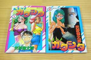 ◆ちょっとカクシタ◆矢野健太郎◆全２巻◆SPコミックス◆完結◆