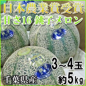 【Good】大玉限定！大量出品中！日本農業賞受賞！アムスメロン『甘さ16 銚子メロン』3～4玉約5kg ご予約