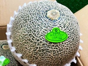 [Good] large amount 10 box exhibiting! blue meat series . popular melon [takami melon ]( Ibaraki production * Chiba production ) large sphere 3~5 sphere approximately 5kg reservation 