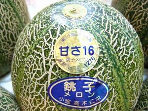 [Good].. melon. decision version! Japan agriculture . winning [..16.. melon ]3~6 sphere approximately 5kg reservation 