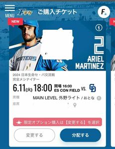 ６月１１日　エスコンフィールド北海道 日本ハムファイターズ 日本ハム エスコンフィールド 日ハム　外野席　チケット2枚