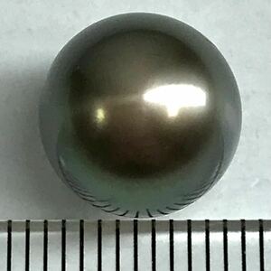 (南洋黒蝶真珠9.527ct)j 約10.9×10.9mm ルース 裸石 宝石 black pearl tahitian 真珠 DC0/DC0 i