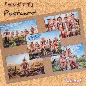 【ヨシダナギ】Postcard ポストカード5枚