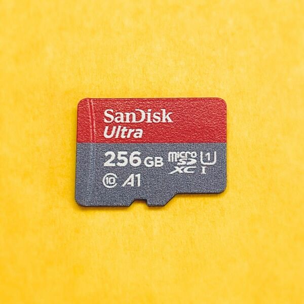 ★動作確認済み ★SanDisk 256GB ★microSDXCカード microSDカード マイクロSDカード メモリーカード