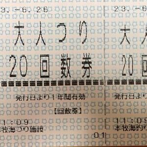 本牧海釣り施設利用券 １枚