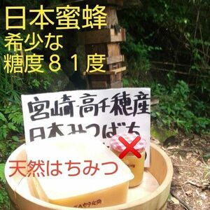 宮崎県産 希少な糖度81度 日本蜜蜂 天然はちみつ 非加熱 4.0kg