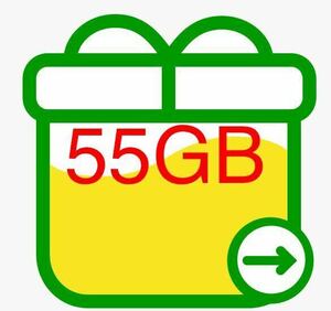 マイネオ パケットギフト 55GB 