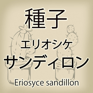 【輸入種子】エリオシケ・サンディロン Eriosyce sandillon サボテン 多肉植物(種111-30)