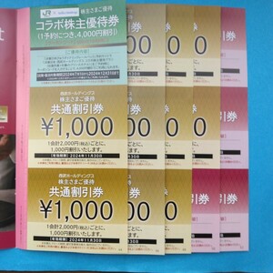 【匿名配送】 西武ホールディングス 株主優待 共通割引券　¥１０００×１０枚
