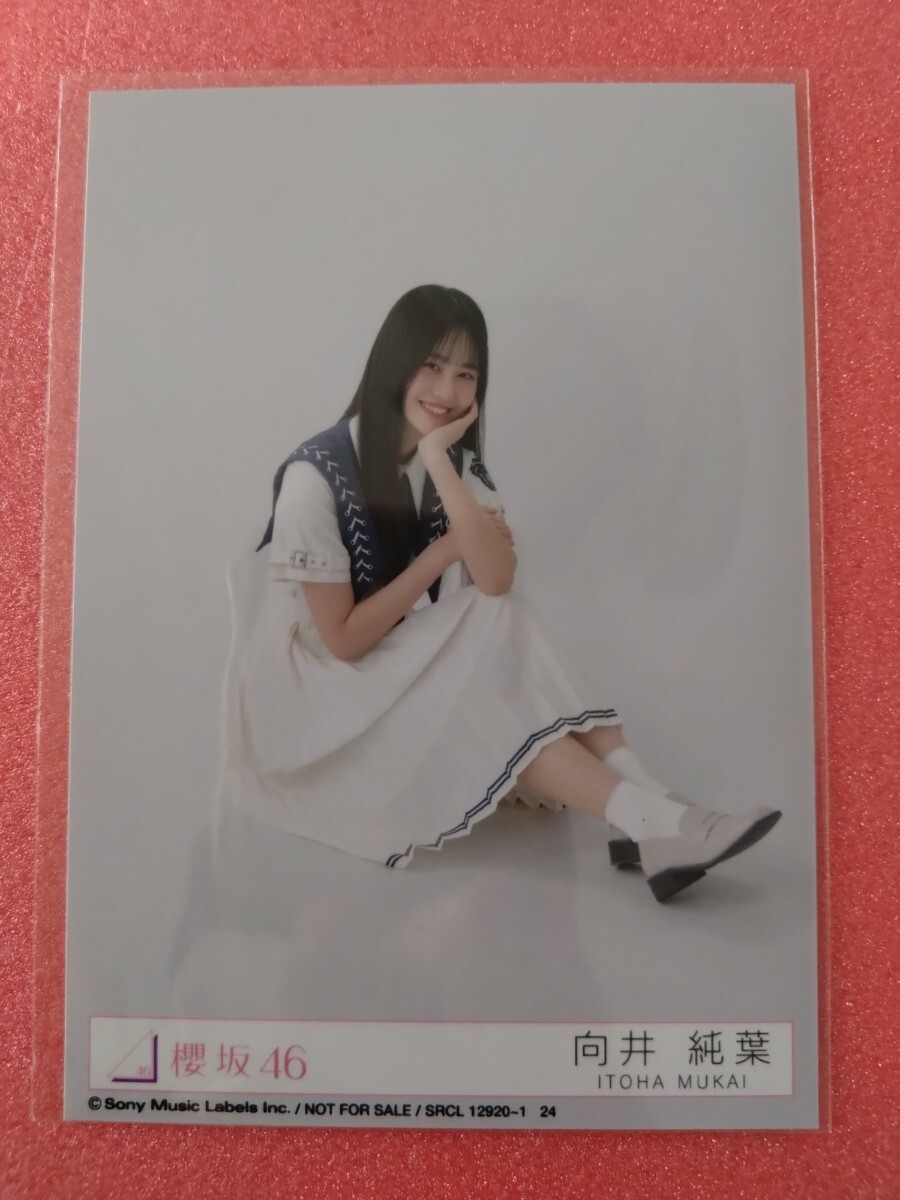 2025年最新】Yahoo!オークション -向井純葉の中古品・新品・未 2025年最新】Yahoo!オークション -向井純葉の中古品・新品・未