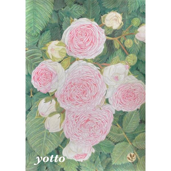 色鉛筆画「 薔薇のある風景〈 １１ 〉 」Ａ４・額付き◇◆手描き◇原画◆薔薇◇◆yotto