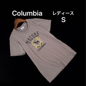 コロンビア プリント Tシャツ sizeS/グレージュ レディース キャンプ アウトドア グレー 山やキャンプに♪