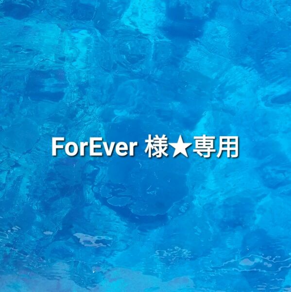 ForEver 様★専用