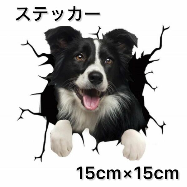 【即日発送】ステッカー　犬　3D　シール　カー用品　コリー　15cm