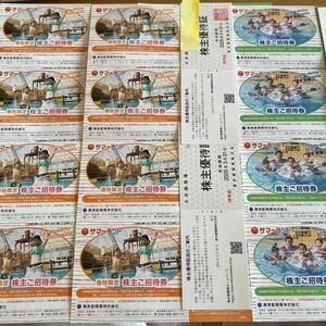  Tokyo summer Land акционер гостеприимство приглашение талон 2 комплект 16 листов Tokyo Metropolitan area скачки 