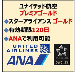 期間限定スターアライアンスゴールド会員資格ユナイテッド航空プレミアゴールドチャレンジanaラウンジ優先搭乗追加手荷物sfc相当