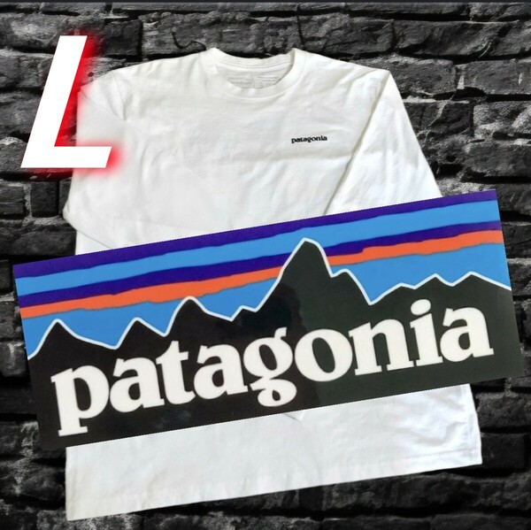 ★送料無料★patagonia/パタゴニア/ロンT/Tシャツ/Lサイズ