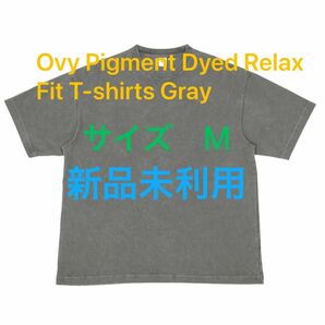 Ovy Pigment Dyed Relax Fit T-shirts gray