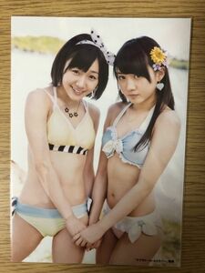 AKB48 店舗特典 ラブラドールレトリバー 共通店舗特典 生写真 木崎ゆりあ 須田亜香里 SKE48 木﨑ゆりあ 水着