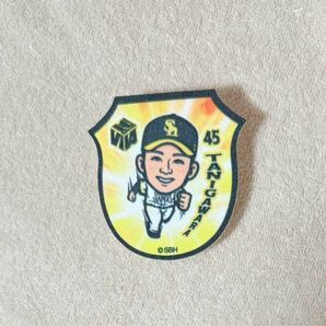 ソフトバンクホークス 45 谷川原健太 バッジ