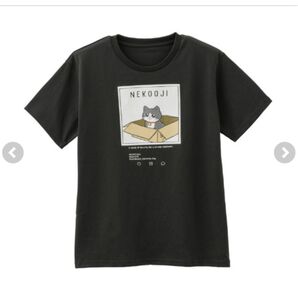 新品未使用 ねこに転生したおじさん Tシャツ M