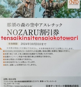 2024.10.31迄 【送料６３円～】日本駐車場開発 株主優待 那須の森の空中アスレチック NOZARU割引券 １枚～ 《0599》