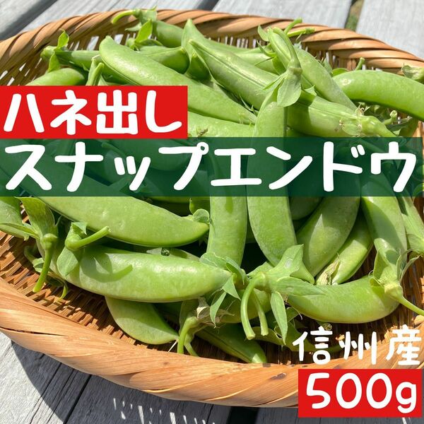 【スナップエンドウ】500g ハネ出し　訳あり　スナックエンドウ　スナップ