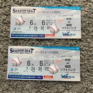 ペア【通路側】6月6日　中日×ソフトバンク　ドラゴンズ外野応援席　バンテリンドーム