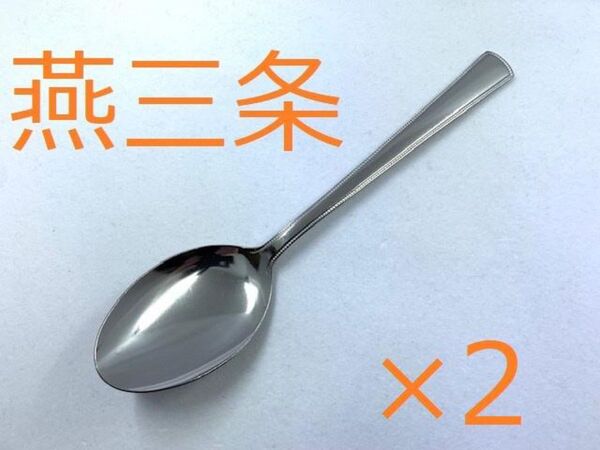 カレースプーン 2本 ディナースプーン 炒飯スプーン パスタスプーン ステンレス