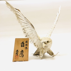 [WA-48HS]1 jpy start! original silver made white hawk light . work collection literary creation thing bird birds souvenir rare antique gross weight approximately 711g