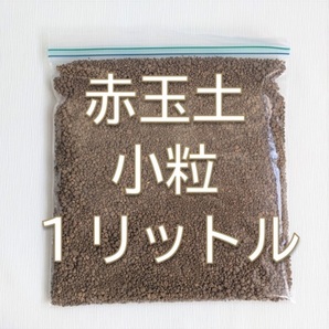 送料無料◆赤玉土 小粒(細粒・微塵含む)1リットル 1L 園芸用土 多肉植物 挿し木用土にも◎ 園芸