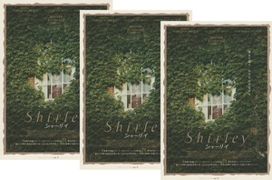 ●Shirley シャーリイ　映画チラシ　３枚　エリザベス・モス/マイケル・スタールバーグ/オデッサ・ヤング　2024年7月　洋画　フライヤー