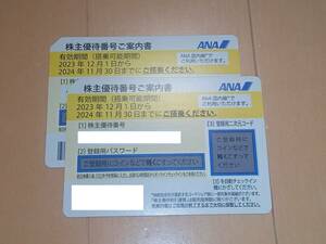 ANA　全日空 株主優待券 　2枚セット　有効期限2024年11月30日　コード通知送料無料