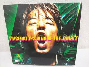 58889O★CD TRICERATOPS KING OF THE JUNGLE