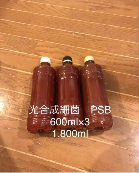 お値引き中　光合成細菌 PSB 1.8リットル 600ml×3 自家培養