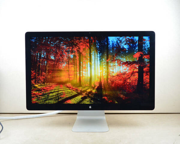 動作品！4819　アップル　APPLE　Thunderbolt Display　A1407　27型ワイド　WQHD 2560×1440　スピーカー内蔵　IPS　LED　ディスプレイ