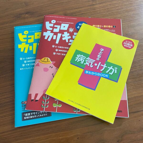 ピコロ 年間 カリキュラム 保育雑誌 特別 付録 子どもの病気 けが 参考書 本 Gakken 学研