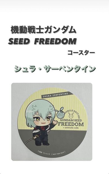 シュラ・サーペンタイン コースター