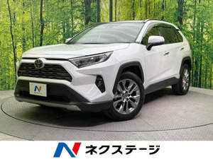 【諸費用コミ】:令和1993 RAV4 G Zパッケージ