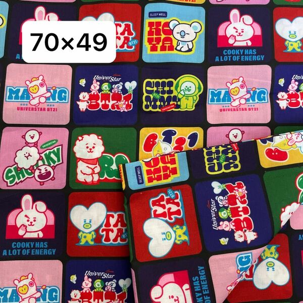 生地　ハギレ　約70×49　BT21　白抜き