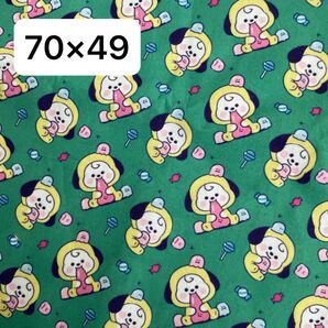 生地 ハギレ 約70×49 BT21 チミーグリーン