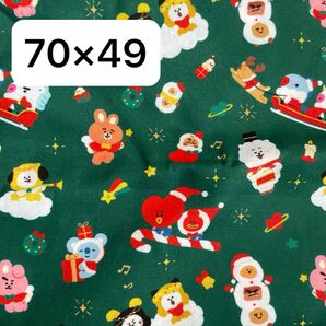 生地 ハギレ 約70×49 BT21 季節柄Xmas グリーン