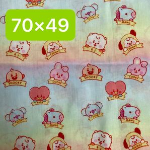 生地 ハギレ 約70×49 BT21 パステルカラー