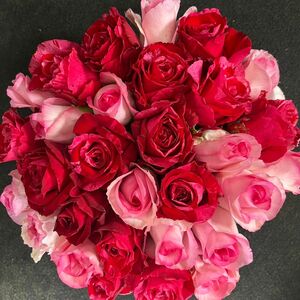 ＊アニバーサリーローズ＊バラ（切り花 ・生花）30㎝SM 30本　赤とピンクのアレンジMIX　産地直送！鮮度抜群！　薔薇　花束