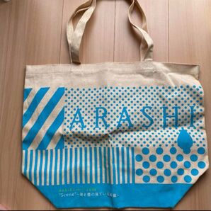 ARASHI 10-11 TOUR グッズバッグ