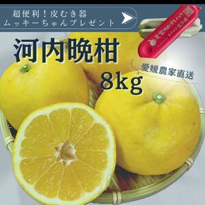 河内晩柑　家庭用8kg愛媛県産　訳あり　送料無料柑橘　みかん和製グレープフルーツ　農家直送　皮むき器ムッキーちゃんプレゼント　